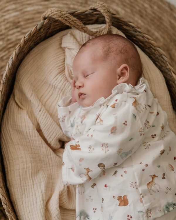 Babygrow Laminado " Bambi " - Image 2