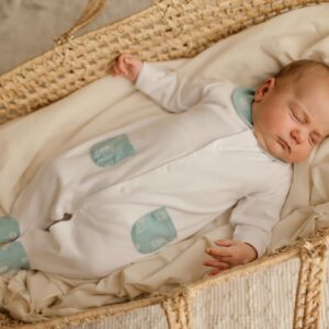 Babygrow " Leãozinho "