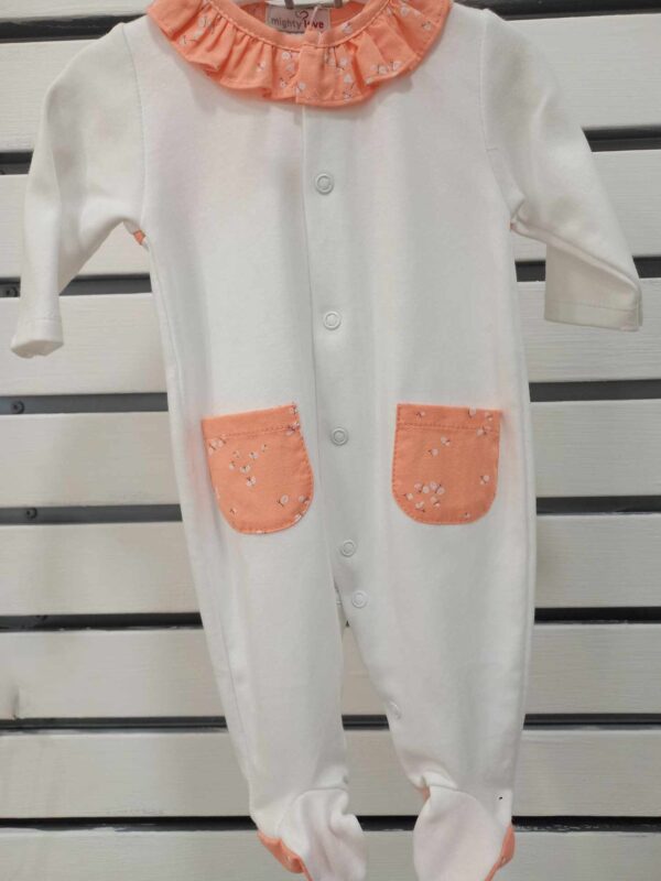 Babygrow " Libelinha "