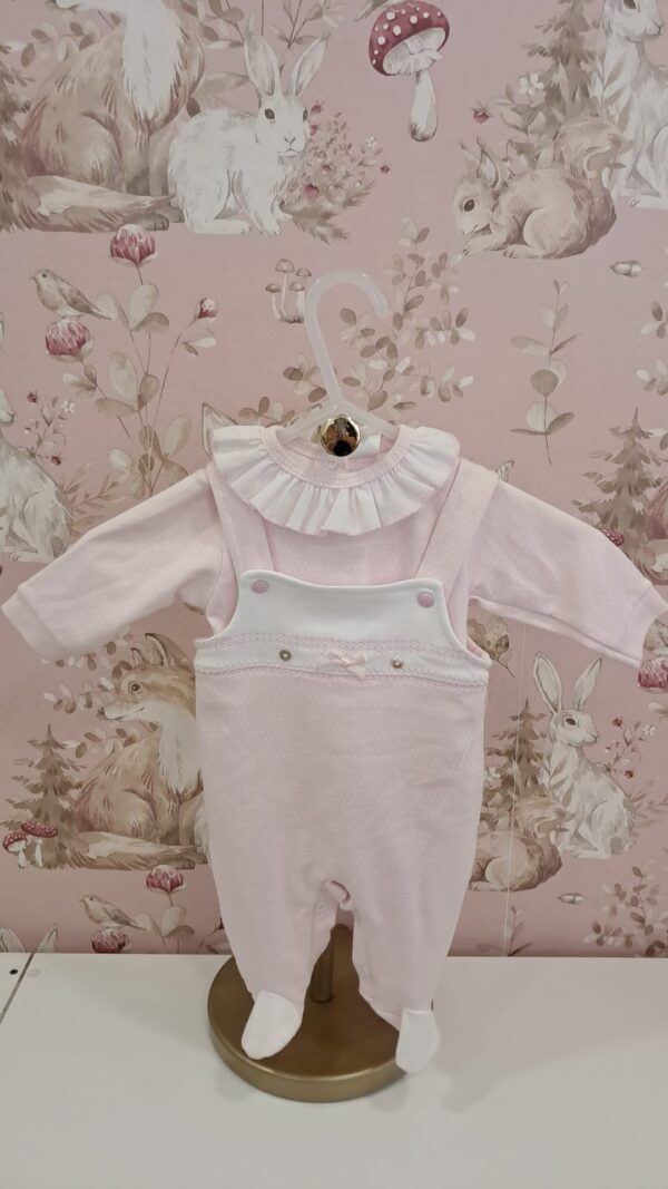 Babygrow / Jardineira