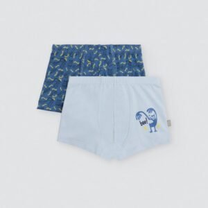 Boxers Menino - "Allien"